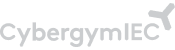 CyberGym