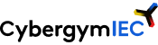 CyberGym