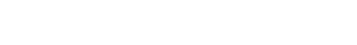 Oimmei Digital Consulting