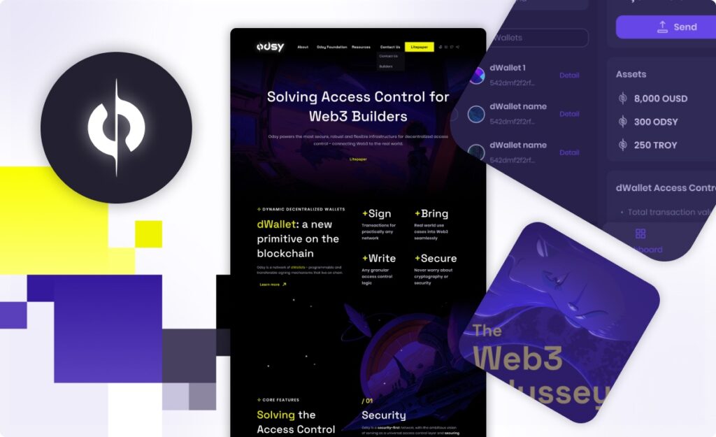 Odsy Network Design