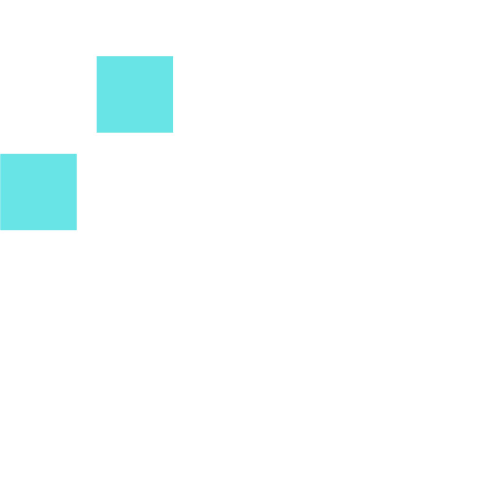 logo white oimmei